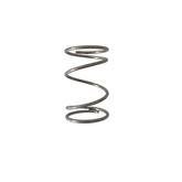 Spare Stainless Steel 316 Spring